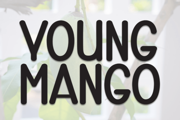 Young Mango Font: A Bold Display Typeface for Punchy Campaigns